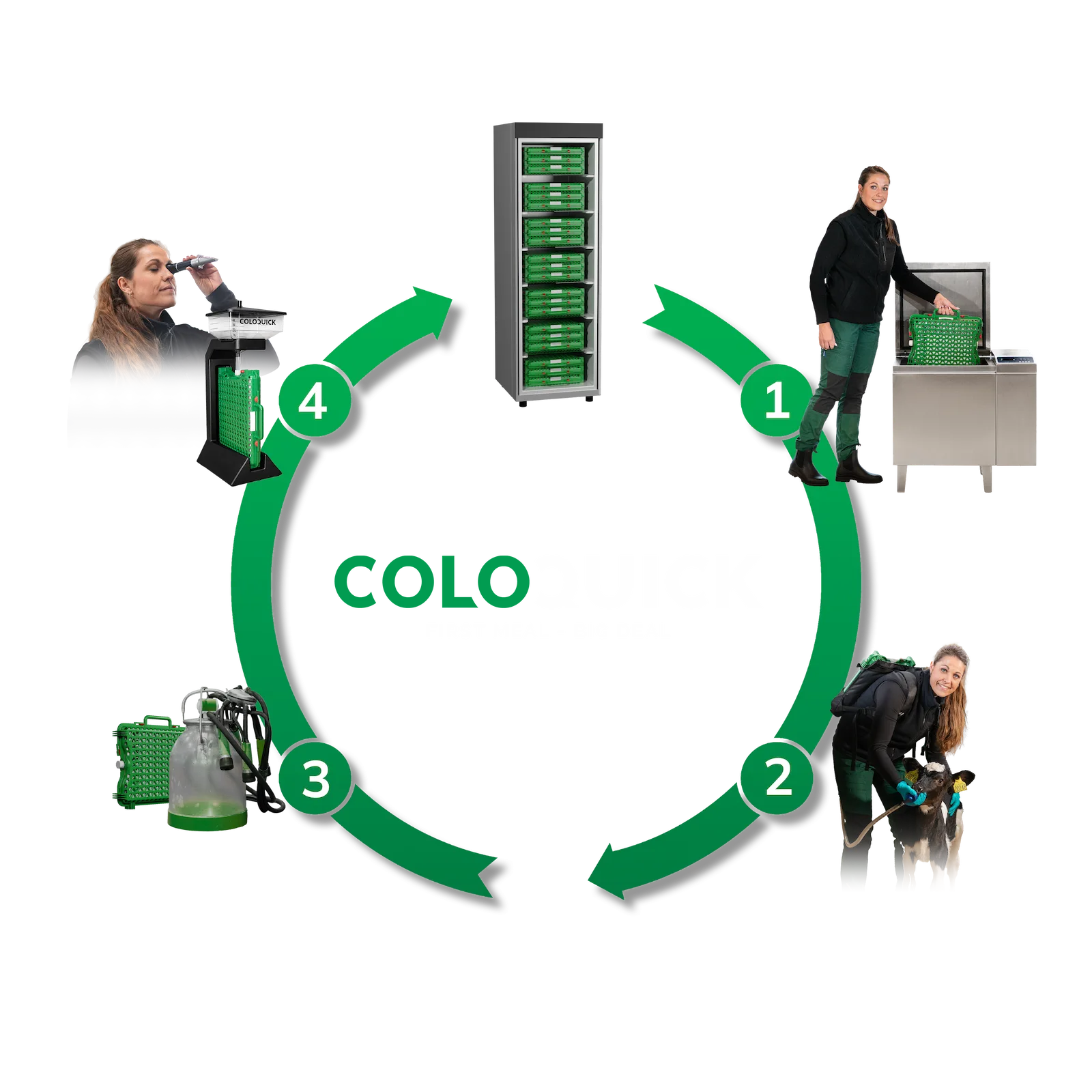 Diagram of the ColoQuick colostrum management system cycle: heating, feeding, collecting, and testing