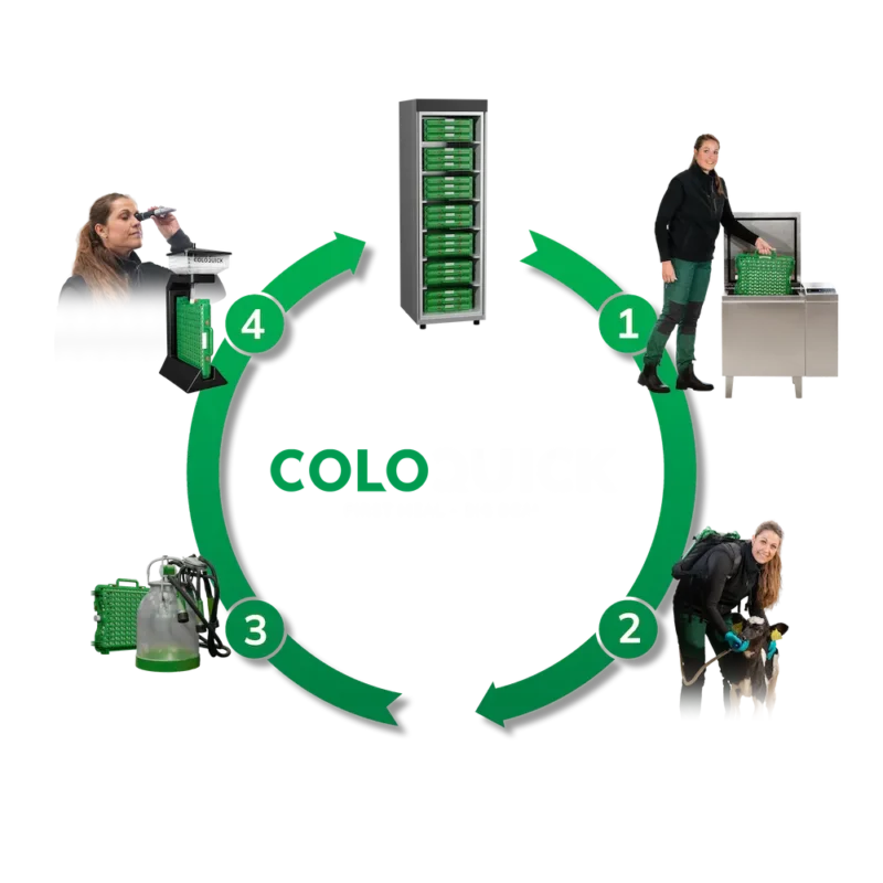 Diagram of the ColoQuick colostrum management system cycle: heating, feeding, collecting, and testing